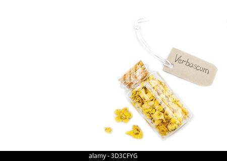 Fleurs séchées Verbascum thapsus isolées sur fond blanc. Plante à base de plantes pour la médecine naturelle alternative et le concept d'apothicaire, vue de dessus Banque D'Images