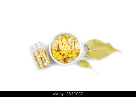 Fleurs séchées Verbascum thapsus isolées sur fond blanc. Plante à base de plantes pour la médecine naturelle alternative et le concept d'apothicaire, vue de dessus Banque D'Images