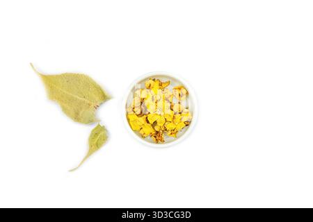 Fleurs séchées Verbascum thapsus isolées sur fond blanc. Plante à base de plantes pour la médecine naturelle alternative et le concept d'apothicaire, vue de dessus Banque D'Images