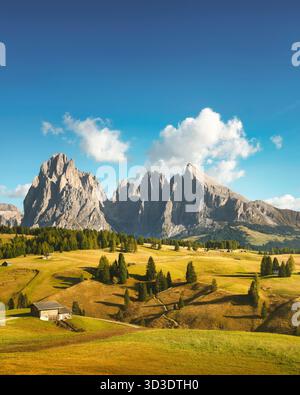 Paysage emblématique de l'Alpe di Siusi, Seiser Alm, avec les sommets de Sassolungo, Langkofel, en arrière-plan. Prairies alpines et cabanes en bois Banque D'Images