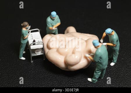 Miniature personnes médecin vérifiant et analysant le modèle de l'intestin grêle, Science et médecine concept Banque D'Images