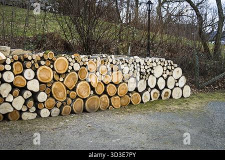 Photo d'un tas de bûches de bois naturel avec fond naturel Banque D'Images