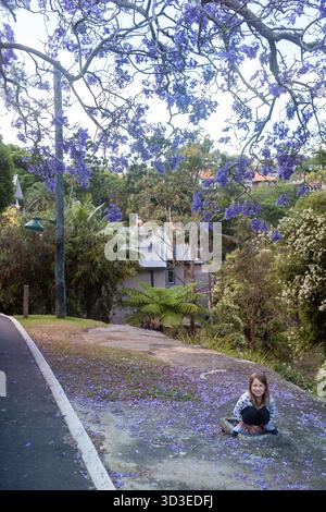 Sydney, Australie. Vendredi 5 octobre 2021. Une rue Mosman avec des arbres Jacaranda et des pétales violets au sol. Banque D'Images