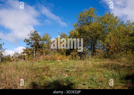Scènes d'automne sur les sentiers de la Highway 311, y compris la piste Appalachian Trail dans le comté de Roanoke, Virginie Banque D'Images