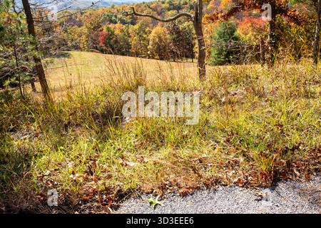 Scènes d'automne sur les sentiers de la Highway 311, y compris la piste Appalachian Trail dans le comté de Roanoke, Virginie Banque D'Images