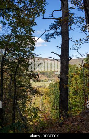 Scènes d'automne sur les sentiers de la Highway 311, y compris la piste Appalachian Trail dans le comté de Roanoke, Virginie Banque D'Images