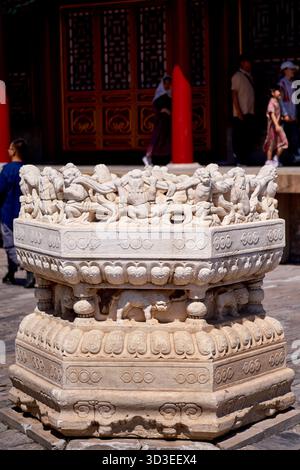 Gros plan d'une base en pierre de marbre pleine de lions sculptés près du Palais de la pureté céleste dans la Cité interdite à Pékin Banque D'Images