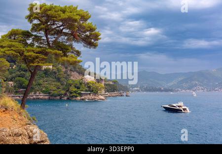 Vue côtière avec pins, villas et yacht à Portofino, Italie, région Ligurie Banque D'Images