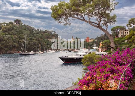 Vue côtière avec pins, villas et yacht à Portofino, Italie, région Ligurie Banque D'Images