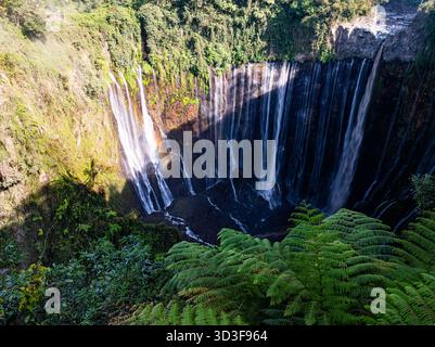 Vue aérienne des chutes de Tumpak Sewu également connu sous le nom de Coban Sewu.Beautiful Tumpak Sewu Cascades sont une attraction touristique dans l'est de Java, Indonésie.A. Banque D'Images