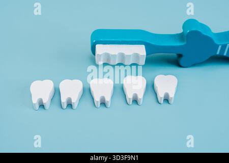 Des modèles de dents en bois et une brosse, un endroit pour le texte, des concepts de traitement dentaire pour le brossage des dents pour les enfants. Banque D'Images