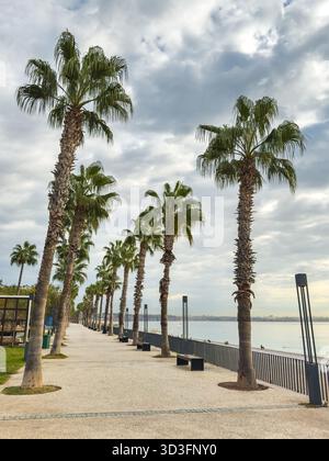 Promenade piétonne bordée de palmiers le long de la plage de Konyaalti à Antalya, Turquie Banque D'Images