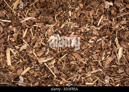 Gros plan du fond de texture de paillis de bois brun fait d'écorce et de copeaux de bois pour le jardinage et l'aménagement paysager. Banque D'Images
