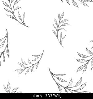Branche avec des feuilles minces gracieuses, motif sans couture. Illustration vectorielle. Branches de saule ou d'eucalyptus isolées sur fond blanc. Le ILLE botanique Illustration de Vecteur