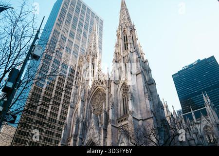 Vue en bas angle de la cathédrale de Patrick, mettant en valeur son architecture gothique aux côtés des gratte-ciels modernes sous un ciel bleu clair à New York. Banque D'Images