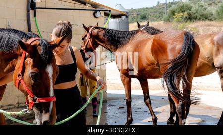 Une femme tend aux chevaux dans une écurie, soulignant le soin et l'organisation impliqués dans la gestion de ces beaux animaux. Toilettage de cheval et stabilité ma Banque D'Images