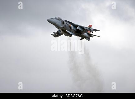 Marine espagnole EAV-8B Harrier Matador II. Banque D'Images