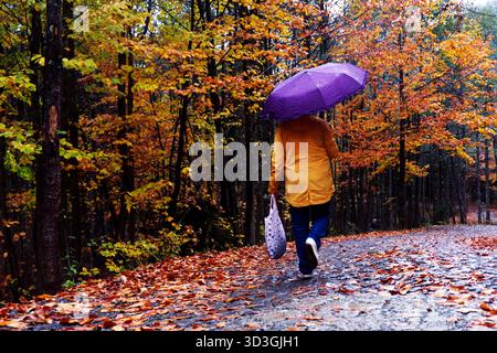 Femme s'éloignant dans la pluie d'automne avec un parapluie violet Une personne, portant un imperméable jaune vif et tenant un parapluie violet vif, s'éloigne Banque D'Images