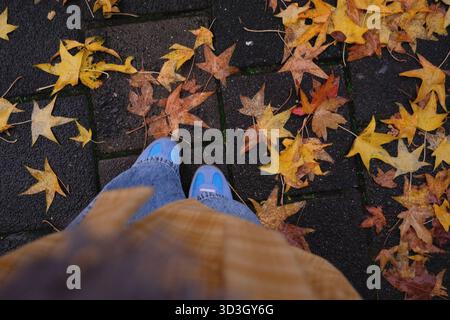 une personne portant un manteau jaune debout dans une rue près de feuilles d'érable jaunes Banque D'Images