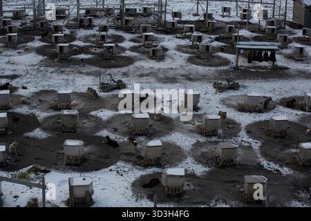 Longyerbeyen, Svalbard, un grand nombre de enclos pour animaux sont couverts de neige. Les stylos sont vides, mais la neige est entassée dans les coins Banque D'Images