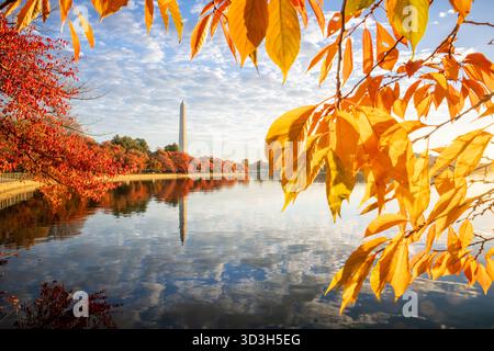 Washington Monument Tidal Basin couleurs d'automne Washington DC // WASHINGTON DC — le Washington Monument se reflète dans le Tidal Basin, encadré par les couleurs d'automne vibrantes des cerisiers dans la lumière dorée du soleil après le lever du soleil. Le Tidal Basin, un réservoir artificiel et une partie du parc West Potomac, est bien connu pour ses cerisiers emblématiques. Ces arbres, célèbres pour leurs fleurs printanières, présentent également un feuillage automnal saisissant. Le monument, un obélisque, commémore George Washington. Ce monument de premier plan est un élément central du National Mall à Washington, D.C. Banque D'Images