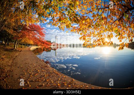 Washington Monument Tidal Basin couleurs d'automne Washington DC // WASHINGTON DC — le Washington Monument et le Tidal Basin à Washington DC présentent les couleurs d'automne vibrantes des cerisiers, illuminés par la lumière dorée du soleil peu après le lever du soleil. L'obélisque du monument se reflète clairement dans les eaux calmes du bassin. Le Jefferson Memorial est également visible à travers le Tidal Basin. Cette crique artificielle, reliée au fleuve Potomac, est réputée pour ses cerisiers en fleurs printanières et son feuillage d'automne pittoresque. Banque D'Images