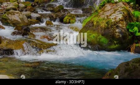 L'eau douce de source des chutes Doryū coule à travers la rivière Kawamata sur des roches couvertes de mousse dans les hautes terres de Yatsugatake, Hokuto, Yamanashi, Japon, o Banque D'Images