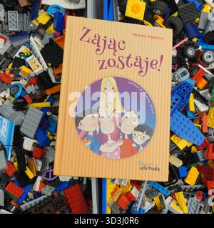 Un livre posé sur des briques Lego Banque D'Images