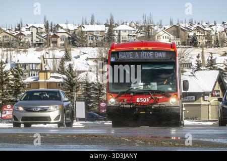 Calgary, Alberta, Canada. 23 mars 2025. Un autobus rouge Calgary transit, avec HAVE A NICE DAY sur son écran, voyage sur une rue enneigée, flanquée d’une argentée Banque D'Images