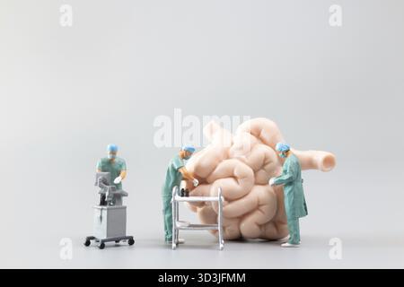 Miniature personnes médecin vérifiant et analysant le modèle de l'intestin grêle, Science et médecine concept Banque D'Images