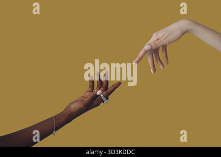 Blanc caucasien et main noire afro-américaine se touchant l'un à l'autre sur fond marron. Journée mondiale de l'humanitaire Banque D'Images