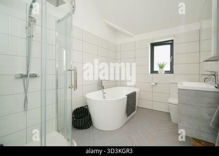 Salle de bain moderne avec baignoire et douche autoportantes dans un espace bien éclairé aux carreaux neutres Banque D'Images