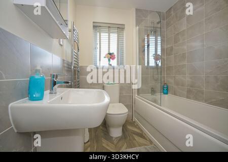Salle de bains moderne au design élégant avec baignoire, douche et accessoires élégants Banque D'Images