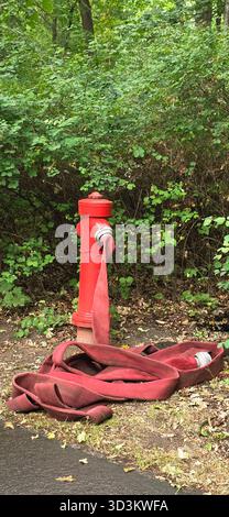 La bouche d'incendie rouge se tient bien en vue avec un tuyau enroulé sur le sol, entourée d'un feuillage vert luxuriant et d'éléments naturels. Banque D'Images