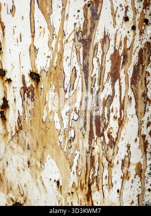 Détail d'un fond métallique rouillé abandonné Banque D'Images