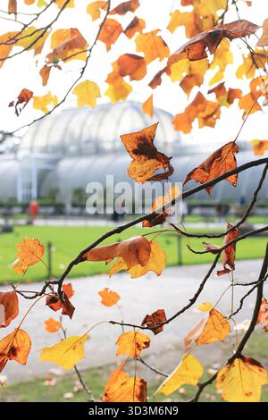 L'historique Palm House dans les jardins botaniques de Kew, à l'automne, dans le sud-ouest de Londres, Royaume-Uni. Banque D'Images