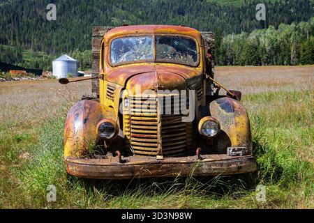 Un camion à plateau International Harvester de 1947 est abandonné dans un champ et ne transporte plus le bois. Banque D'Images
