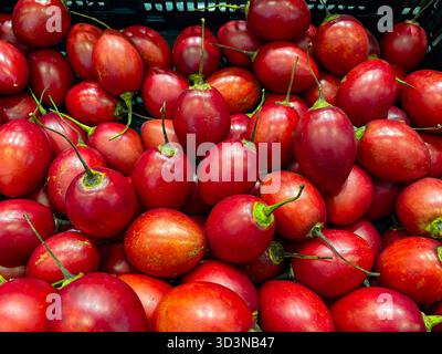 Tamarillo (tomate d'arbre). Vue rapprochée d'un grand tas de tamarillos mûrs, rouge-orange (tomates d'arbre) avec des tiges vertes, présentant des produits frais à un Banque D'Images