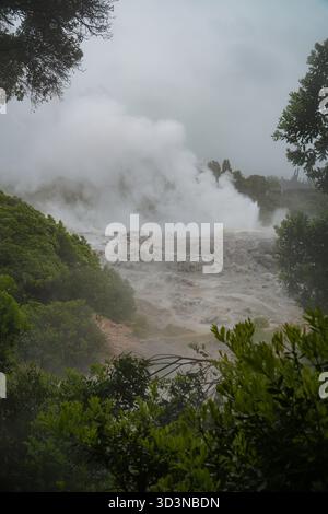 Site géothermique de Whakarewarewa à Rotorua, en Nouvelle-Zélande, avec des évents de vapeur actifs, des sources chaudes et un terrain rocheux encadré par un feuillage vert sur un dessus Banque D'Images