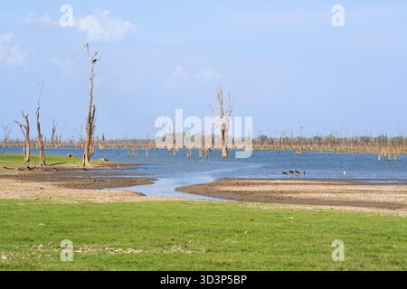 Arbres hydroponiques morts debout dans le lac Itezhi-Tezhi. Paysage africain du lac Itezhi-Tezhi. Parc national de Kafue, Zambie, Afrique Banque D'Images