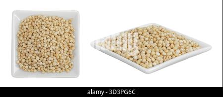 Graines de sorgho dans un bol en céramique isolé sur fond blanc. Vue de dessus. Pose à plat. Banque D'Images