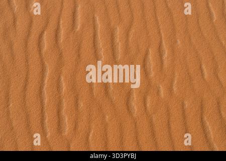 Vue rapprochée de la texture de sable ondulé à Erg Murzuk, Libye. Les grains fins créent des motifs fascinants, mettant en valeur la beauté naturelle et la sérénité de Banque D'Images