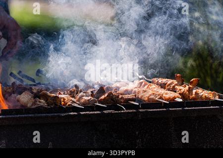 Morceaux de viande juteux grésillant sur un barbecue, enveloppés de saveurs fumées. Les brochettes de viande tendre capturent l'essence de la cuisine en plein air et s. Banque D'Images