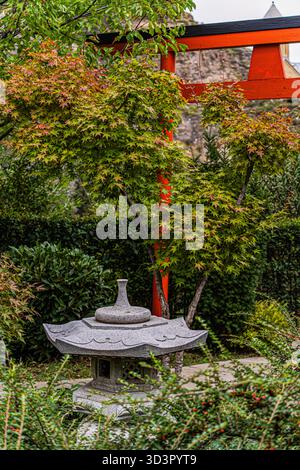 Un jardin japonais tranquille en automne, avec une lanterne traditionnelle en pierre entourée d'un feuillage vibrant. Une élégante porte torii rouge ajoute un dép culturel Banque D'Images