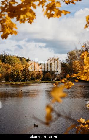 Les feuilles d'automne dorées encadrent une scène de parc sereine, avec un lac calme reflétant les couleurs vibrantes. L'atmosphère paisible est parfaite pour un Wal tranquille Banque D'Images