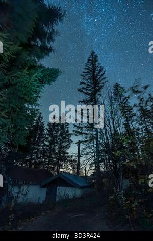 Une vue imprenable sur un ciel nocturne rempli d'innombrables étoiles, contre la silhouette d'arbres imposants. La beauté sereine de la nature est sur displa Banque D'Images