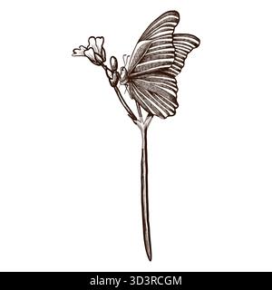 Dessin d'un papillon sur une fleur. Image graphique vectorielle dessinée à la main. Banque D'Images