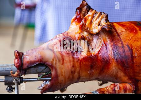 Un jeune cochon est rôti à la broche sur des charbons. Banque D'Images