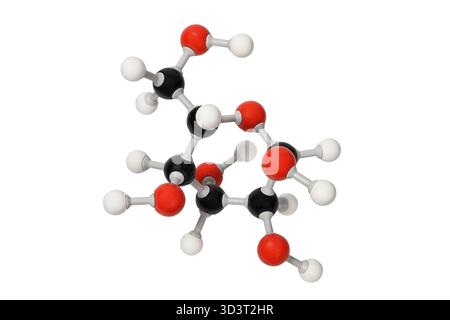 Modèle de molécule de glucose isolée sur fond blanc Banque D'Images