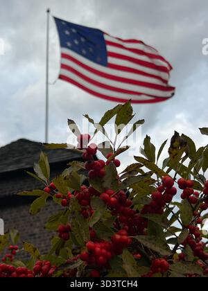 Drapeau américain agitant au-dessus des branches de baies rouges par un jour nuageux Banque D'Images